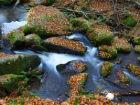 Kleine und große Felsen im Höllbach